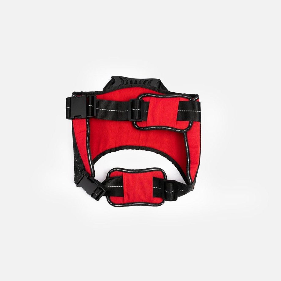 Heavy Duty Harness Red