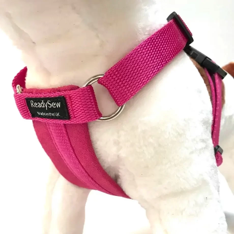 Standard Dog Harness