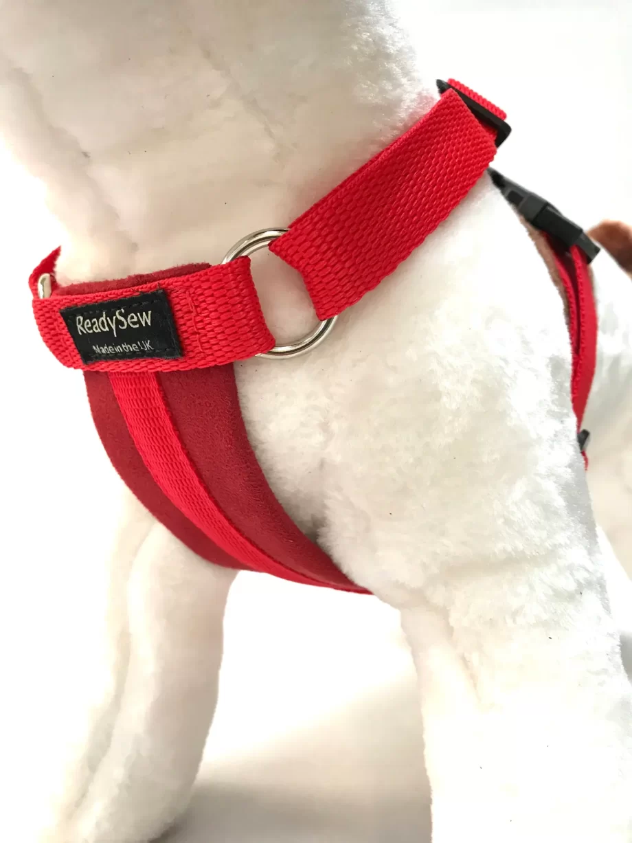 Standard Dog Harness