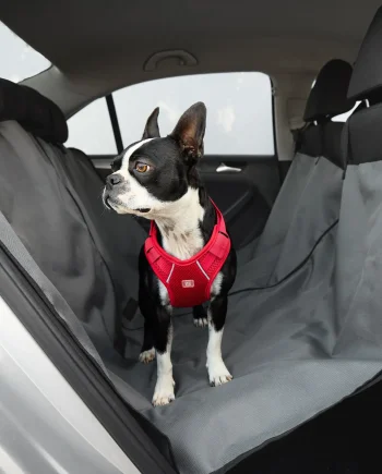 Pet Hammock Seat Cover