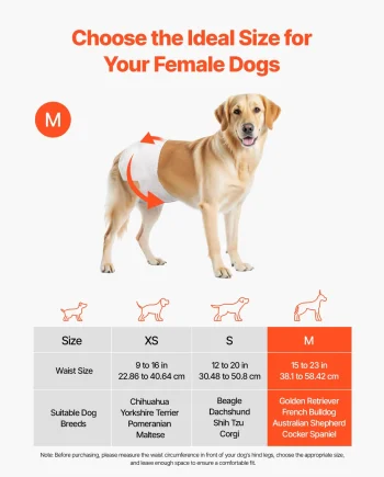 VEVOR Disposable Dog Diapers, Super Absorbent Female Dog Diapers, 360 Leak-Proof Female Doggy Pet Diaper with Wetness Indicator for Heat Period, Training, Incontinence - M, 144 Count (2 Packs of 72)