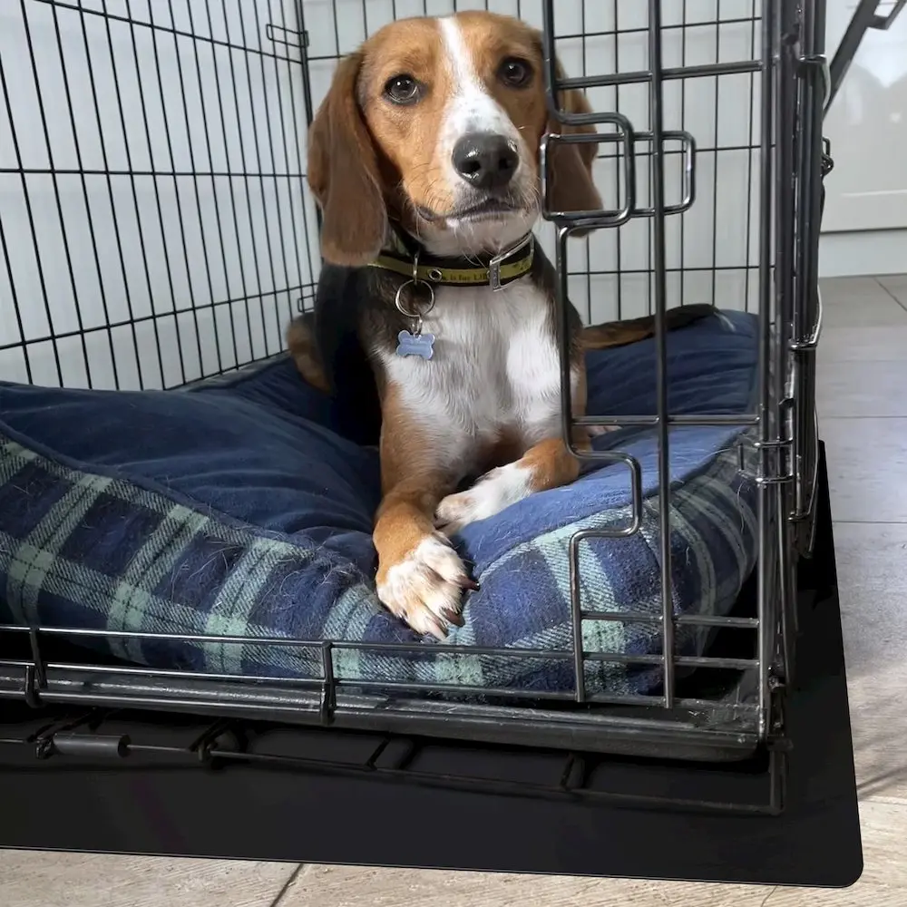 Polypropylene Pet Crate Floor Protection Mat - Medium - 20" x 26"