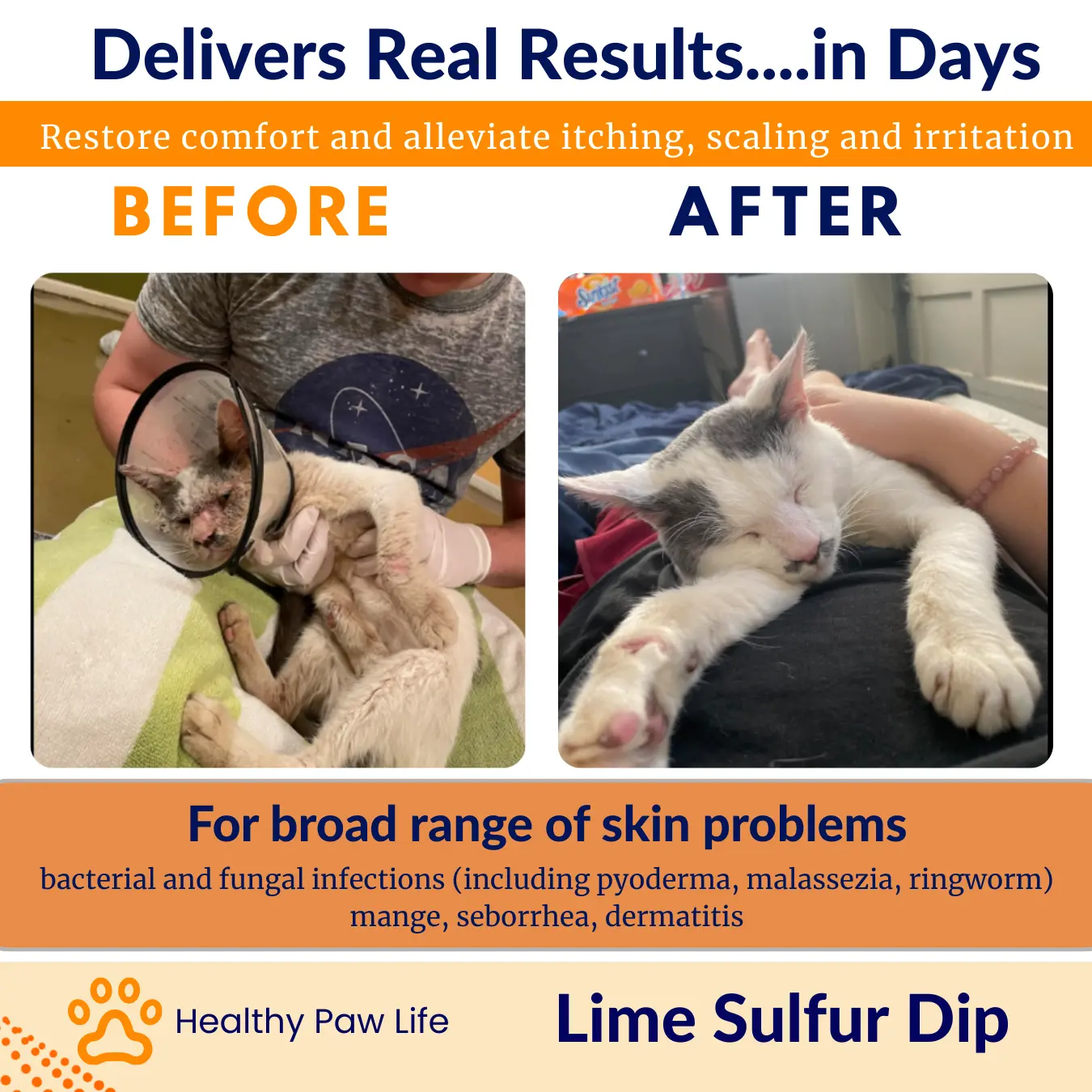 Lime Sulfur Dip Concentrated Sulfur Solution for Itchy Skin, Mange, Ringworm & Dermatitis Safe for Dogs, Cats, Puppies, Kittens, Horses, and Livestock