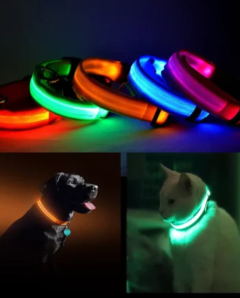 LED PET Safety Halo Style Collar